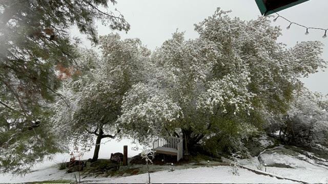30670 Sentinel Dr, Coarsegold, CA 93614 - view of snow covered exterior