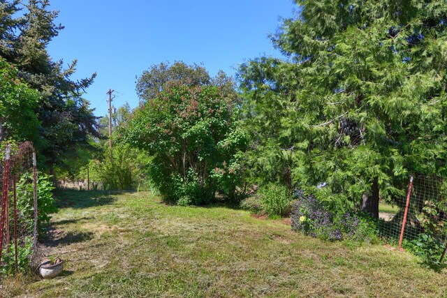 5192 Oak, Midpines, CA 95345 - photo 40