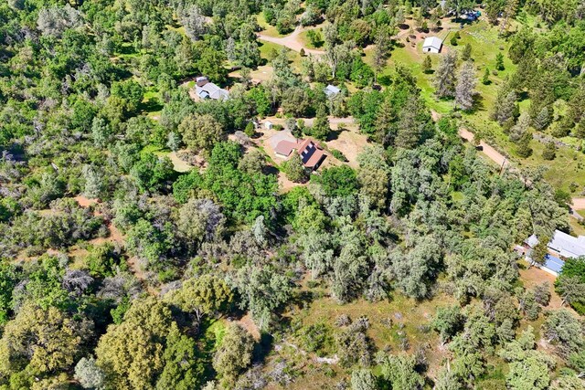 5192 Oak, Midpines, CA 95345 - photo 54