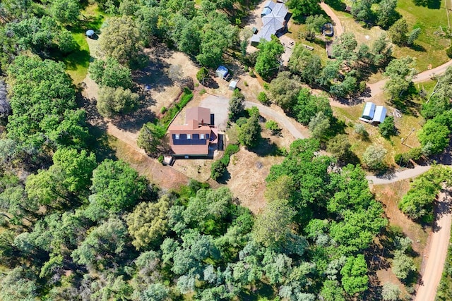 5192 Oak, Midpines, CA 95345 - photo 52