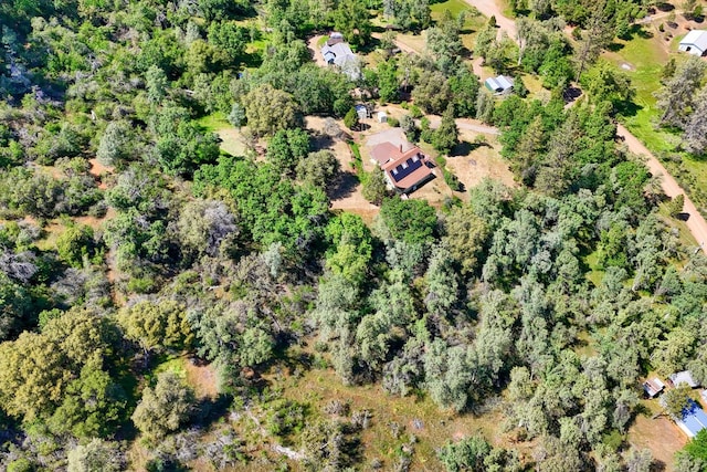 5192 Oak, Midpines, CA 95345 - photo 53