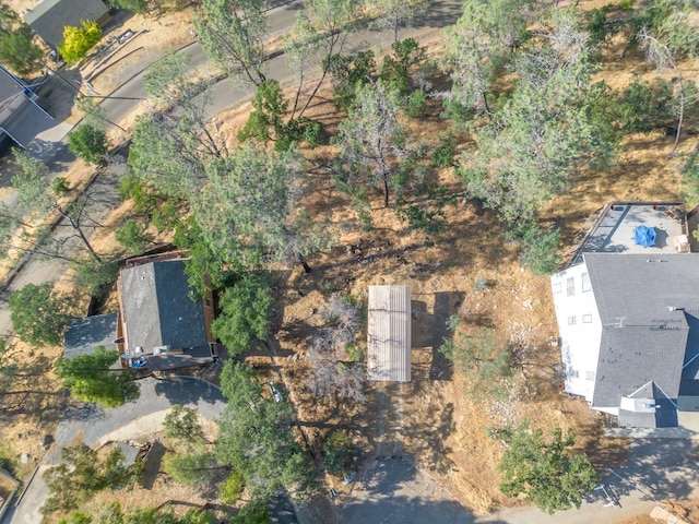 27401 Aqua Vista Rd, Friant, CA 93626 - photo 4