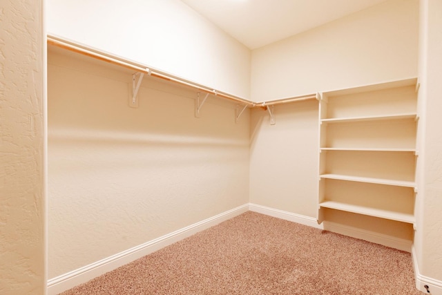 2138 El Paso Ave, Clovis, CA 93611 - walk in closet with carpet floors