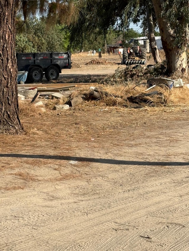 12326 E Dinuba Ave, Selma, CA 96662 - view of yard