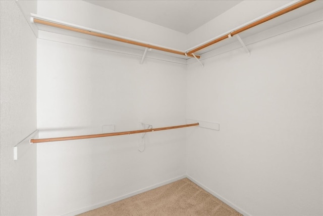 473 E Alluvial Ave Unit 107, Fresno, CA 93720 - spacious closet featuring carpet flooring