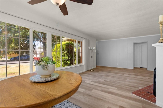 826 W Fedora Ave, Fresno, CA 93705 - photo 2