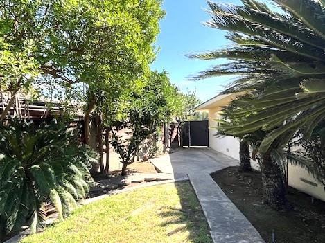 1320 Maple, Selma, CA 93662 - view of yard