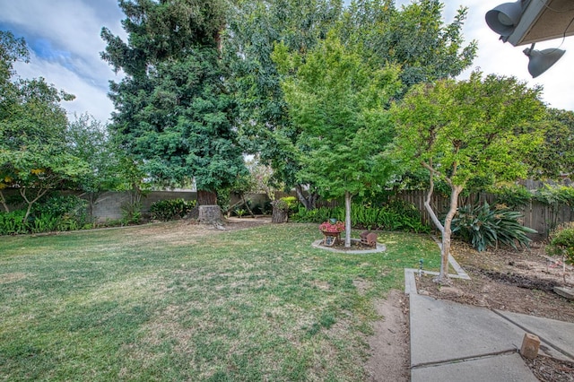 4588 E Pico Ave, Fresno, CA 93726 - view of yard