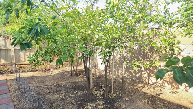 758 Persimmon, Madera, CA 93638 - view of yard