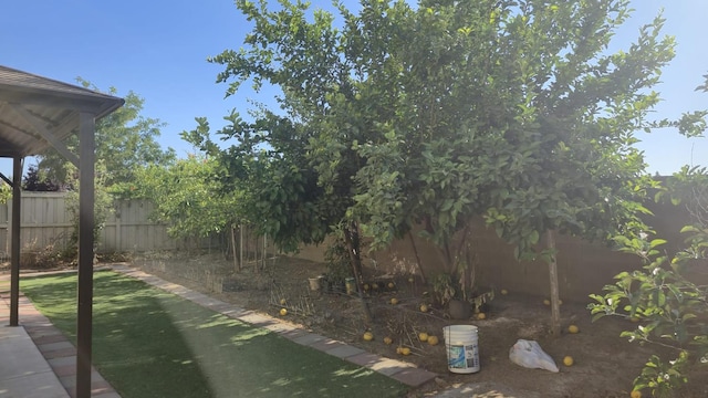 758 Persimmon, Madera, CA 93638 - view of fenced backyard