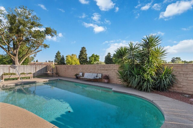 2724 Monocott Dr, Madera, CA 93637 - view of swimming pool featuring a fenced backyard
