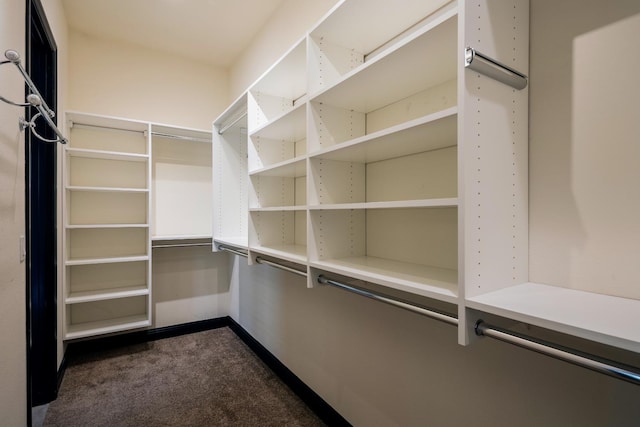 3343 Richmond Ave, Clovis, CA 93619 - walk in closet with dark carpet