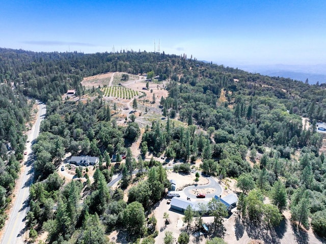 41500 Auberry Rd, Auberry, CA 93602 - photo 9