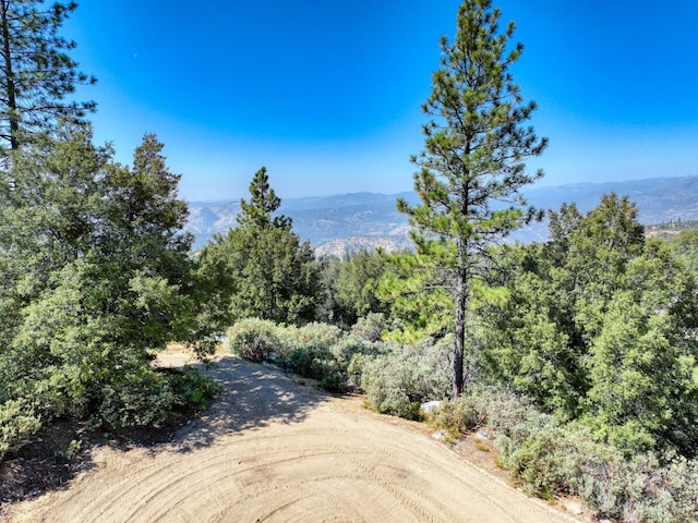 41500 Auberry Rd, Auberry, CA 93602 - photo 16