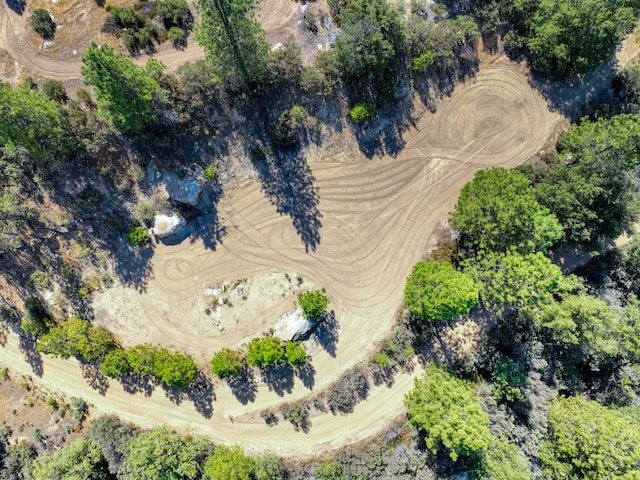41500 Auberry Rd, Auberry, CA 93602 - photo 4