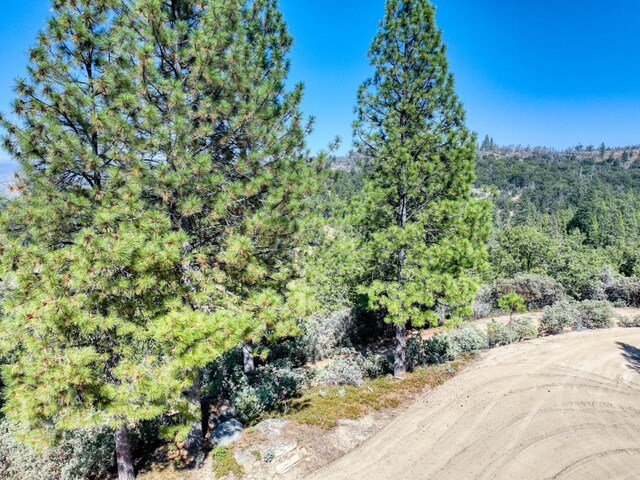 41500 Auberry Rd, Auberry, CA 93602 - photo 15