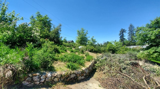 52861 Cedar Dr, Oakhurst, CA 93644 - photo 7