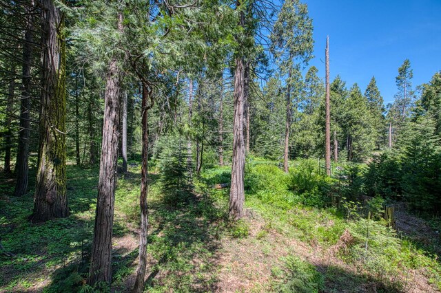 42272 Hanging Branch Rd, Shaver Lake, CA 93664 - view of wooded area