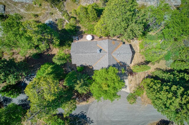42010 Granite Ledge Ln, Shaver Lake, CA 93664 - view of property location