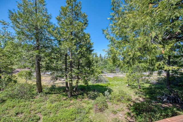 42010 Granite Ledge Ln, Shaver Lake, CA 93664 - view of local wilderness