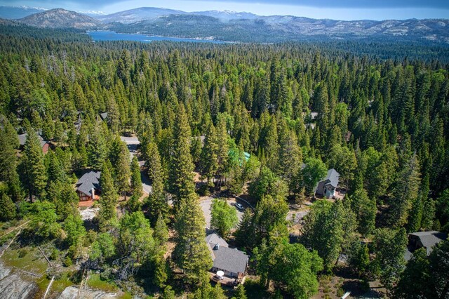 42010 Granite Ledge Ln, Shaver Lake, CA 93664 - view of property location featuring a forest and a mountainous background