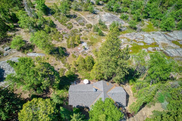 42010 Granite Ledge Ln, Shaver Lake, CA 93664 - aerial overview of property's location