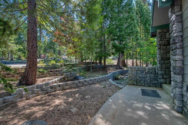 42010 Granite Ledge Ln, Shaver Lake, CA 93664 - view of yard with a patio area