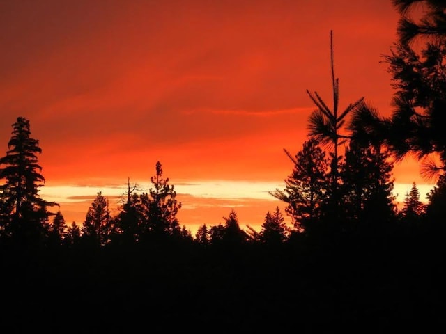 42010 Granite Ledge Ln, Shaver Lake, CA 93664 - view of local wilderness