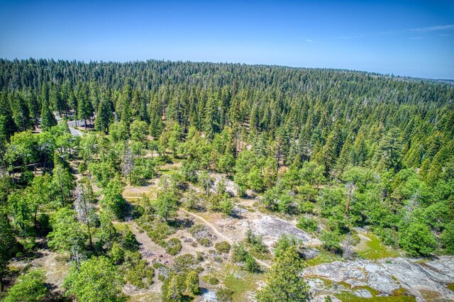 42010 Granite Ledge Ln, Shaver Lake, CA 93664 - aerial view of property's location featuring a forest