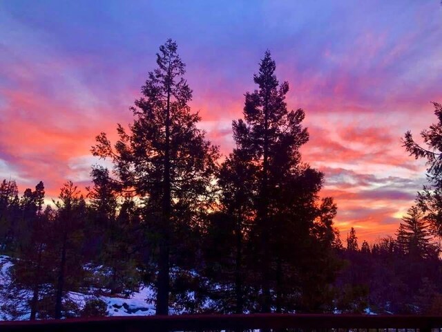 42010 Granite Ledge Ln, Shaver Lake, CA 93664 - view of undeveloped land
