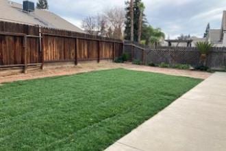 9872 N Woodrow Ave, Fresno, CA 93720 - view of yard
