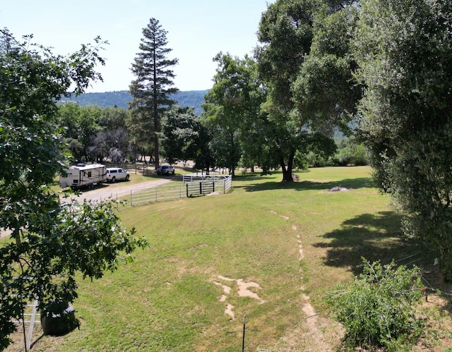 33491 Rd 233, North Fork, CA 93643 - view of yard