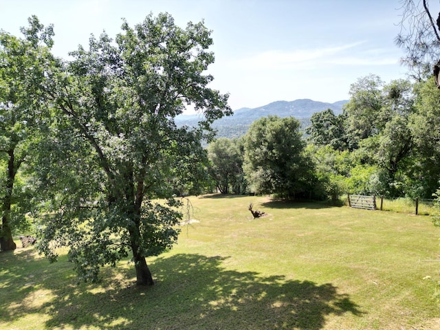 33491 Rd 233, North Fork, CA 93643 - view of yard with a mountain view