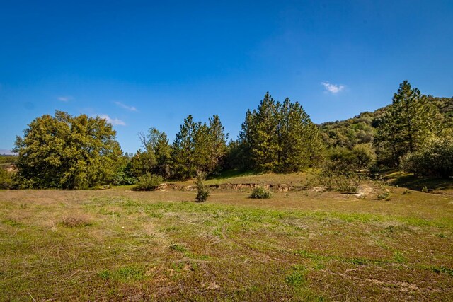 9 Valley Oak Dr, Ahwahnee, CA 93601 - photo 5