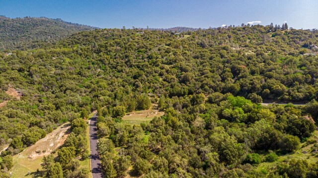 9 Valley Oak Dr, Ahwahnee, CA 93601 - photo 10