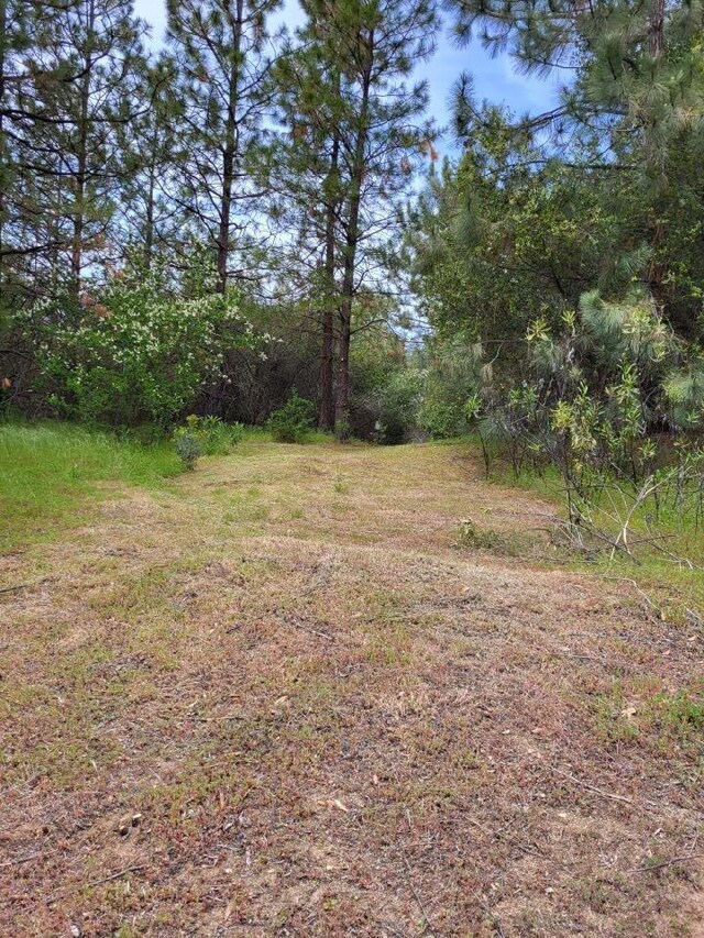9 Valley Oak Dr, Ahwahnee, CA 93601 - photo 21