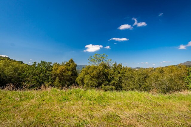 9 Valley Oak Dr, Ahwahnee, CA 93601 - photo 4