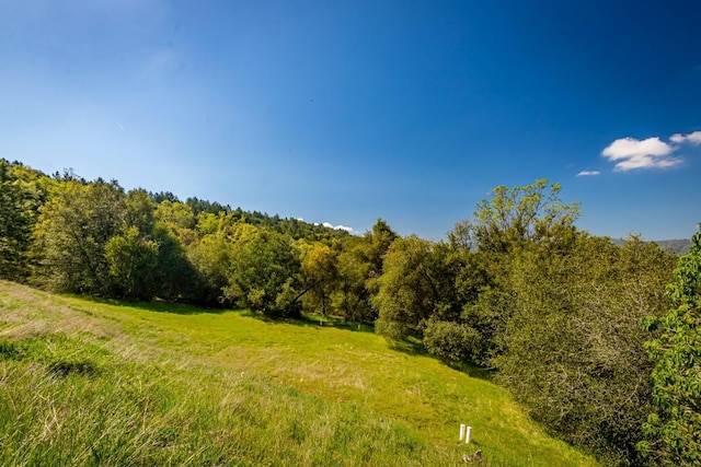 9 Valley Oak Dr, Ahwahnee, CA 93601 - photo 3