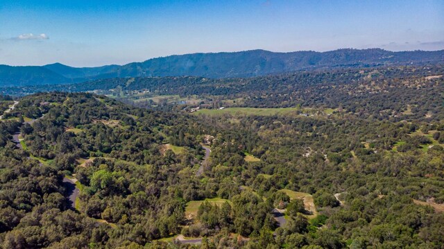 9 Valley Oak Dr, Ahwahnee, CA 93601 - photo 12