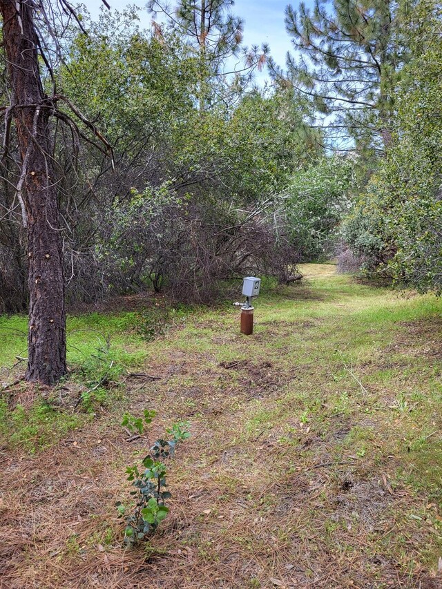 9 Valley Oak Dr, Ahwahnee, CA 93601 - photo 20