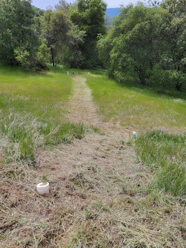 9 Valley Oak Dr, Ahwahnee, CA 93601 - photo 18
