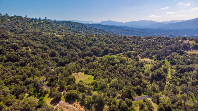 9 Valley Oak Dr, Ahwahnee, CA 93601 - photo 11