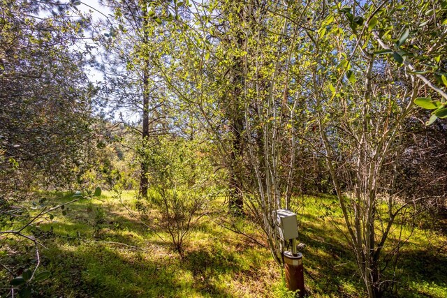 9 Valley Oak Dr, Ahwahnee, CA 93601 - photo 13