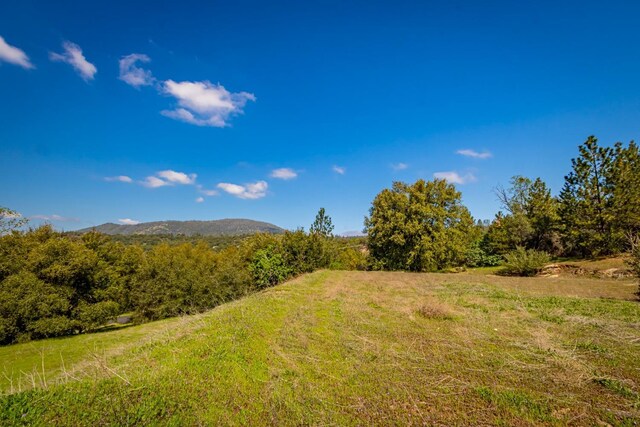 9 Valley Oak Dr, Ahwahnee, CA 93601 - photo 6