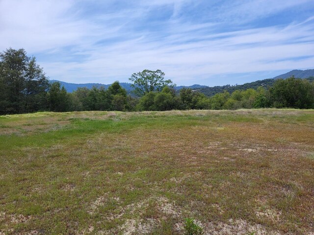 9 Valley Oak Dr, Ahwahnee, CA 93601 - photo 19