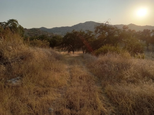 38949 Roundtree Ln, Yokuts Valley, CA 93675 - photo 9