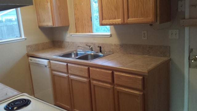 455 S Coalinga St, Coalinga, CA 9342 - kitchen with dishwasher and a sink