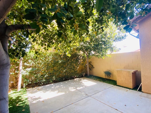 1507 N Strada Way, Clovis, CA 93619 - view of patio / terrace