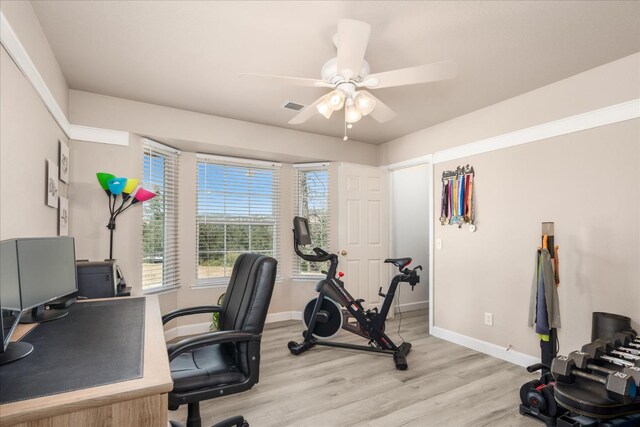 30015 Stetson Dr, Coarsegold, CA 93614 - office with baseboards, light wood-type flooring, and a ceiling fan