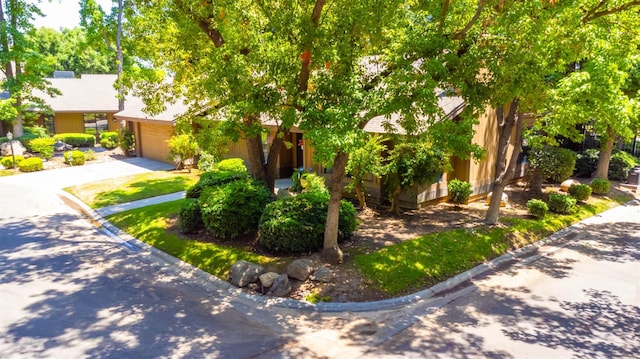 4633 N Glenn Ave, Fresno, CA 93704 - view of property hidden behind natural elements with concrete driveway and an attached garage